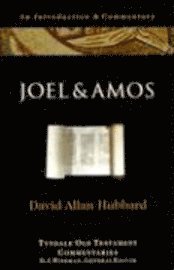 Joel and Amos: An Introduction and Commentary (h�ftad)