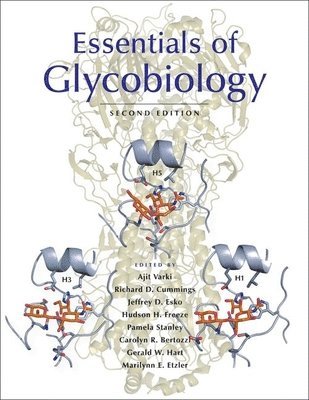 Essentials of Glycobiology (inbunden)