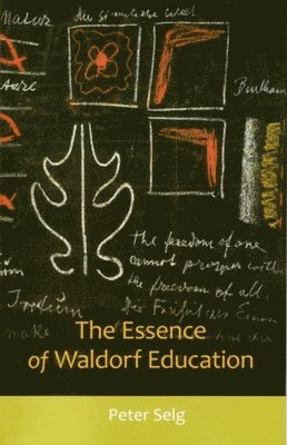 Essence of Waldorf Education (hftad)