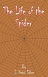 The Life of the Spider