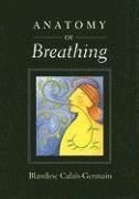 Anatomy of Breathing (häftad)