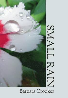 Small Rain (hftad)