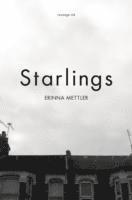 Starlings (hftad)