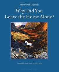 Why Did You Leave The Horse Alone (hftad)