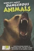 Animal Planet: World's Most Dangerous Animals (häftad)
