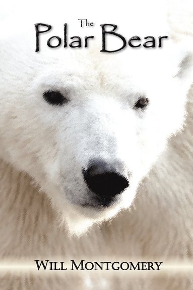 Polar Bear (hftad)