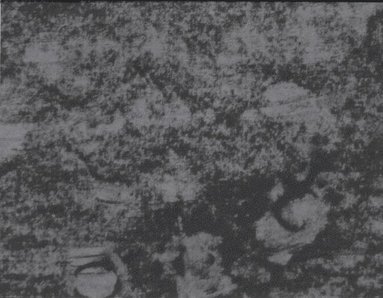 Possible (inbunden)