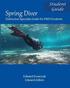 Spring Diver