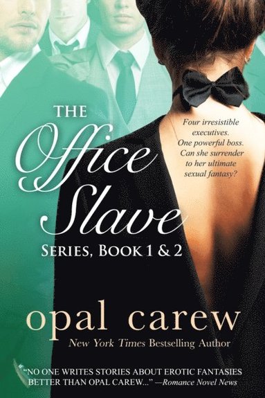 Office Slave Series, Book 1 & 2 Collection (hftad)