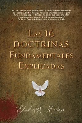 16 doctrinas fundamentales explicadas (häftad)