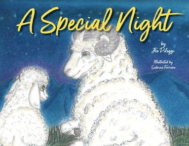 A Special Night (h�ftad)
