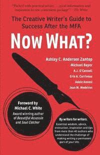 Now What?: The Creative Writer's Guide to Success After the MFA (hftad)