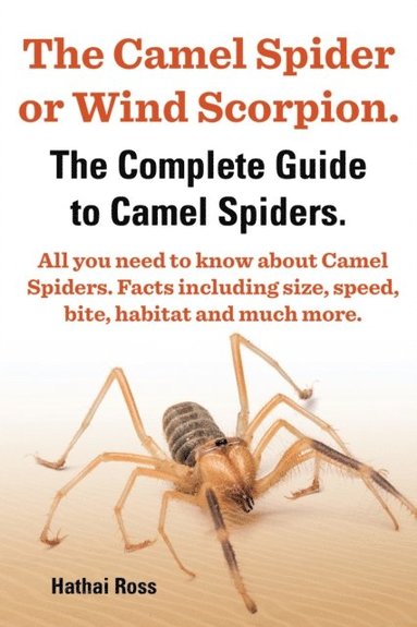 Camel Spider or Wind Scorpion. The Complete Guide to Camel Spiders. All You Need to Know About Camel Spiders. Facts Including Size, Speed, Bite and Habitat. (inbunden)