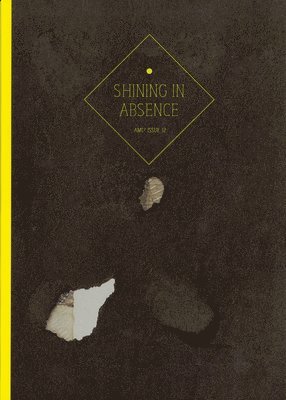 AMC2 Journal Issue 12 (inbunden)