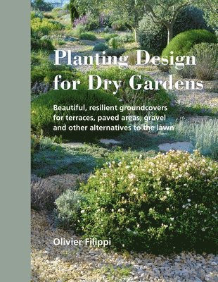 Planting Design for Dry Gardens (inbunden)