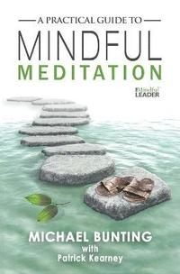 A Practical Guide to Mindful Meditation (hftad)