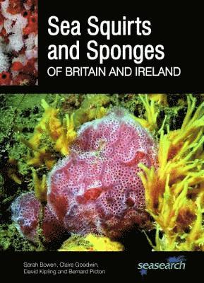 Sea Squirts and Sponges of Britain and Ireland (hftad)