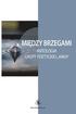 Miedzy Brzegami: Antologia Grupy Poetyckiej 'arka