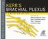 Kerr's Brachial Plexus
