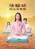 ???????? Mindful Practice of Falun Gong (Chinese edition)