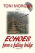 Echoes from a Falling Bridge