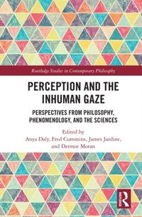 Perception and the Inhuman Gaze (e-bok)