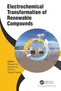 Electrochemical Transformation of Renewable Compounds (e-bok)