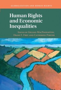 Human Rights and Economic Inequalities (e-bok)