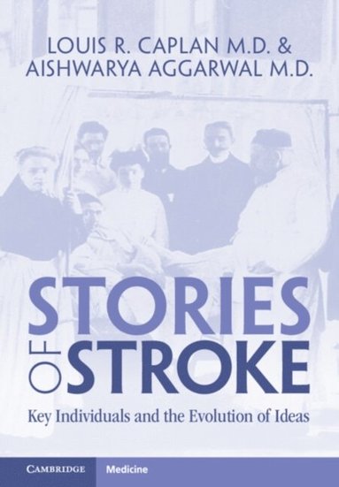 Stories of Stroke (inbunden)