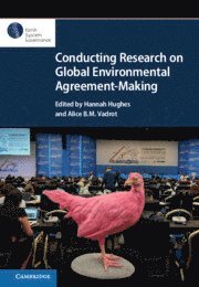 Conducting Research on Global Environmental Agreement-Making (häftad)