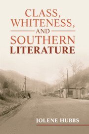 Class, Whiteness, and Southern Literature (häftad)