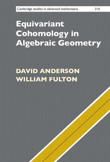Equivariant Cohomology in Algebraic Geometry (häftad)