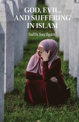 God, Evil, and Suffering in Islam (häftad)