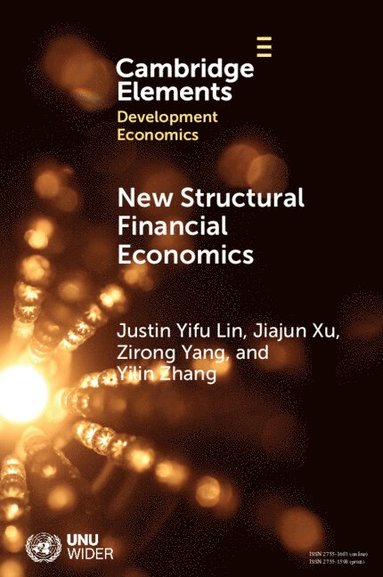 New Structural Financial Economics (inbunden)