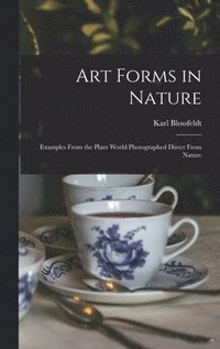 Art Forms in Nature: Examples From the Plant World Photographed Direct From Nature (inbunden)