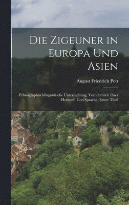 Zigeuner in Europa und Asien (inbunden)