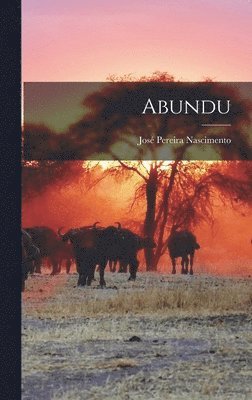 Abundu (häftad)
