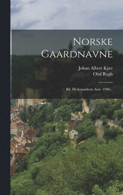 Norske Gaardnavne (inbunden)