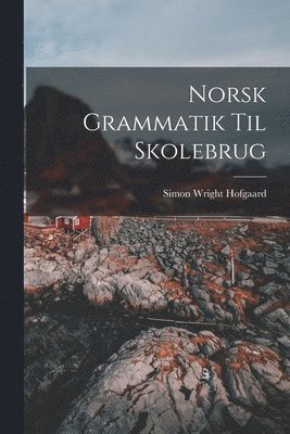 Norsk Grammatik Til Skolebrug (h�ftad)