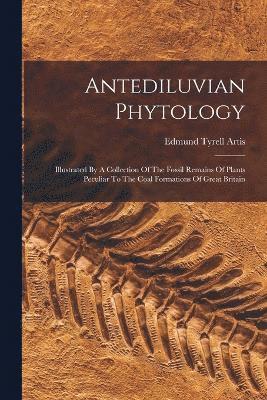 Antediluvian Phytology (häftad)