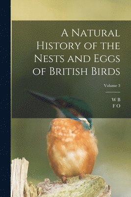 Collection Vintage : "A Natural History Of Nids And Eggs Of British Birds" Par F.O. Morris - 3 Volumes, 1865