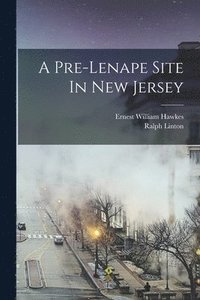 A Pre-lenape Site In New Jersey (häftad)