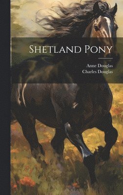 Shetland Pony (hftad)