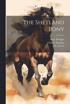 Shetland Pony (hftad)