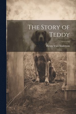 The Story of Teddy (hftad)