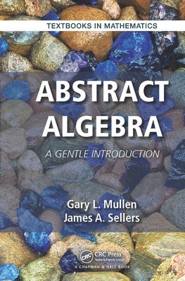 Abstract Algebra (inbunden)