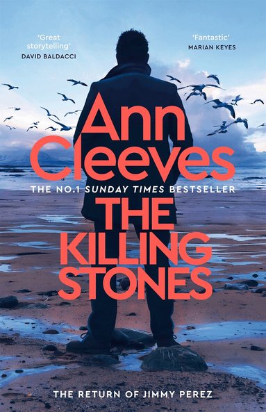 Killing Stones (h�ftad)