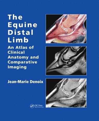 Equine Distal Limb (hftad)