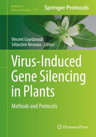 Virus-Induced Gene Silencing in Plants (häftad)
