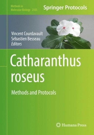 Catharanthus roseus (häftad)